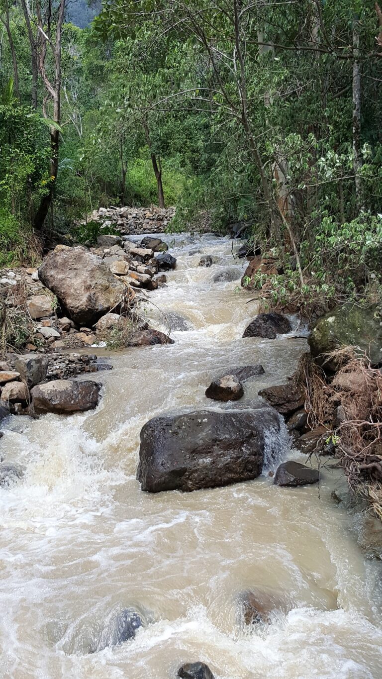 Rainforest Creek Walk Gold Coast Hinterland Couples Retreat