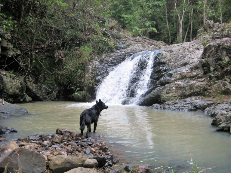 Rainforest Natural Pools Gold Coast Hinterland Couples Retreat